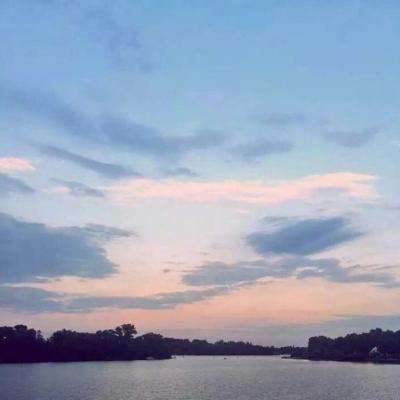 42982金牛网论坛下载手机版